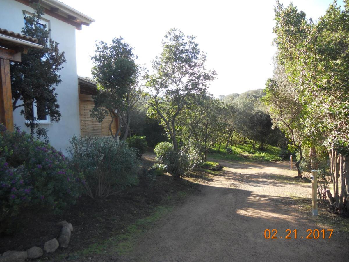 Chambres La Falcia - Figari - Corse Du Sud Exteriér fotografie