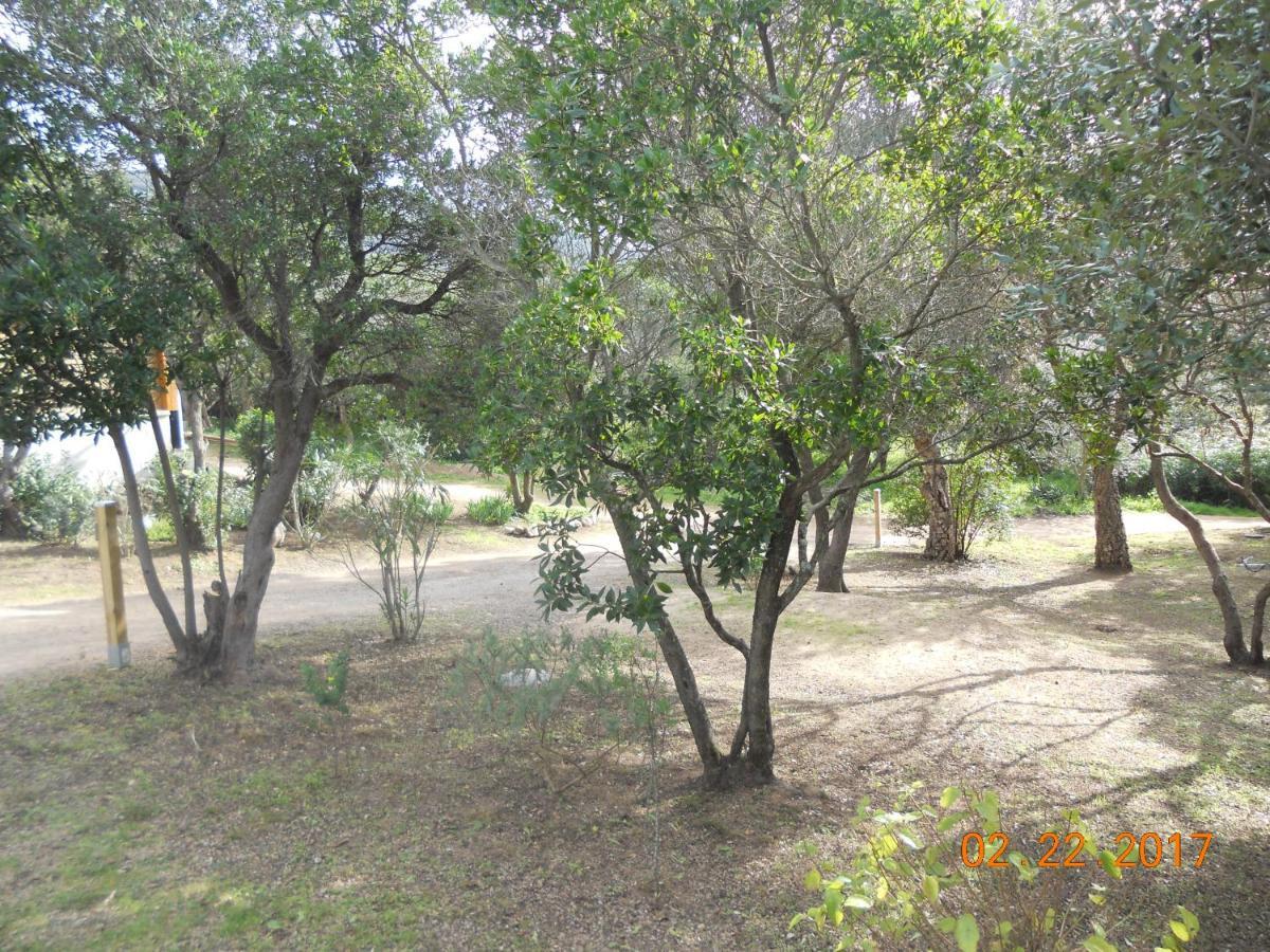 Chambres La Falcia - Figari - Corse Du Sud Exteriér fotografie