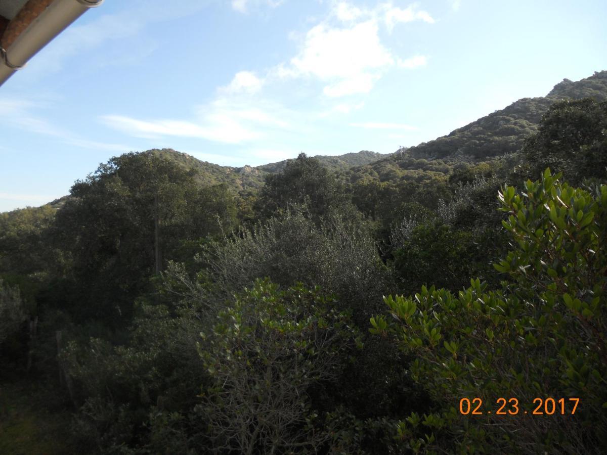 Chambres La Falcia - Figari - Corse Du Sud Exteriér fotografie